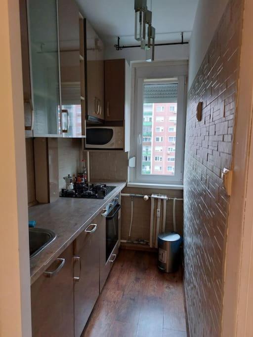 Erzsebet Apartman, Free Parking Budapest Exterior foto